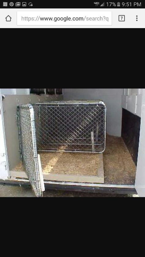 Miniature horse trailer divider ideas Horse Trailer Divider, Trailer Redo, Horse Float, Barn Hacks, Diy Horse Barn, Mini Horses, Trailer Conversion, Horse Club, Divider Ideas