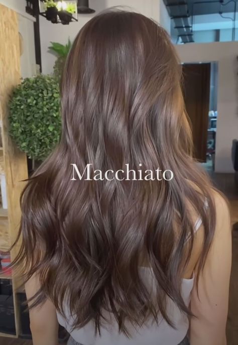 Hair Dark Warm Brown Hair, Rambut Brunette, Brown Hair Looks, Ash Hair Color, Brown Hair Inspo, Brunette Hair With Highlights, Brunette Balayage Hair, Brown Hair Balayage, Light Hair Color