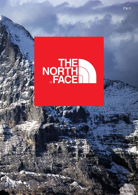 North Face Brand, Women Activities, Embrace Nature, Brand Book, Information Design, Green Rooms, Never Stop Exploring, Brand Guidelines, Store Design