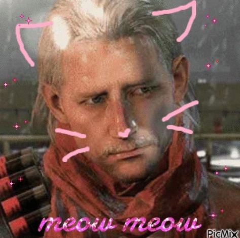 Mgs Ocelot, Ocelot Mgs, Ocelot Metal Gear, Metal Gear Solid Quiet, Kazuhira Miller, Metal Gear Solid 4, Revolver Ocelot, Raiden Metal Gear, Gordon Freeman