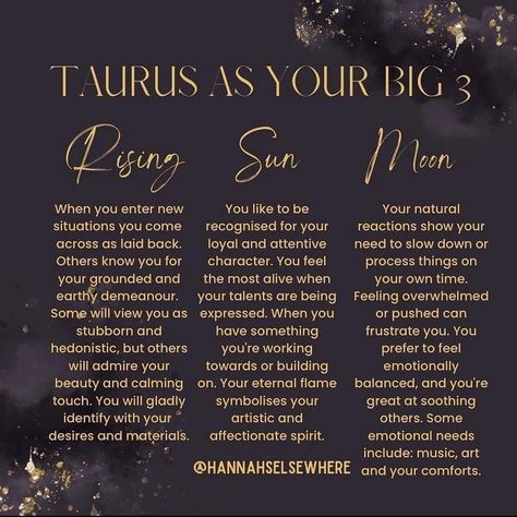 Taurus Big 3 Zodiac, Moon Aquarius, Excited Puppy, Virgo Sun, Aquarius Moon, Pocket Rocket, Aquarius Rising, Planet Signs, Birth Chart Astrology