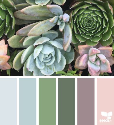 Design Seeds Color Palette, Seeds Color Palette, Natural Bedroom Decor, Succulent Painting, Seeds Color, Decor Color Palette, Bathroom Decor Colors, Succulents Decor, Succulent Wedding