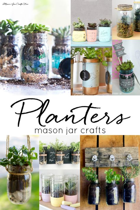 Mason Jar Planters - How To Make Mason Jar Planters - Succulents in Mason Jars - Herbs in Mason Jars Plants Room Aesthetic, Plant Based Aesthetic, Plant Based Soup, Mason Jar Bathroom Storage, Mason Jar Plants, Mason Jar Succulents, Mason Jar Terrarium, Herb Garden Wall, Mason Jar Herbs