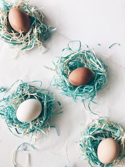 DIY Baby Birds Nest from Easter Basket Shavings Pastel Color Party, Unicorn Party Hats, Diy Unicorn Party, Spring Easter Eggs, Bird Nests, Baby Birds, Easter Egg Dye, Easter Basket Diy, Birds Nest