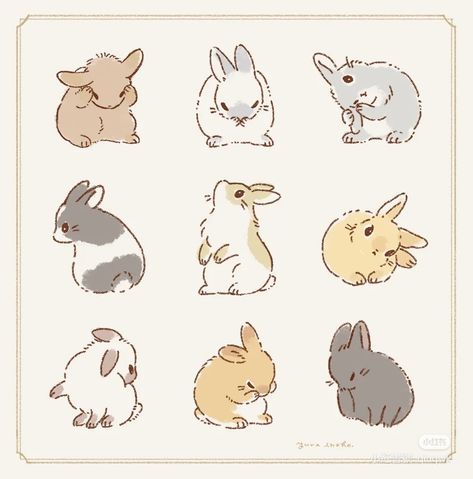 Rabbit Pose, Bunny Sketches, Bunny Poster, Rabbit Drawing, Cute Bunny Pictures, Rabbit Illustration, Bunny Drawing, Rabbit Art