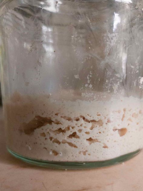 How to Make a Gluten-Free Sourdough Starter - Natasha's Home Rice Flour Sourdough Starter, Easy Brown Rice, Gluten Free Sourdough Bread Recipe, Gluten Free Sourdough Starter, Gluten Free Sourdough Bread, Gluten Free Sourdough, Brown Rice Flour, Wild Yeast, Gf Bread