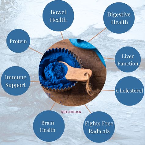 Blue Spirulina Benefits, Spirulina Benefits, Blue Spirulina, Healthy Bacteria, Healthy Exercise, Herbs For Health, Sea Moss, Lower Cholesterol, Vegetarian Diet