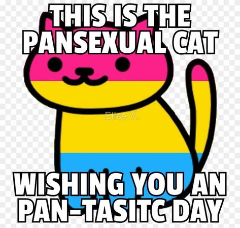 Marauders Instagram, Pansexual Aesthetic, Pan Pride, Pride Quotes, Lgbtq Quotes, Pansexual Flag, Lgbtq Funny, Lgbtq Flags, Pansexual Pride