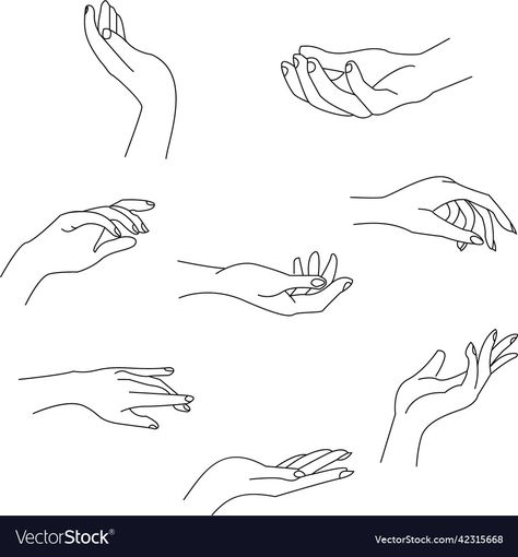 Women Hand Illustration, Drawing Of A Hand Holding Something, Female Hands Tattoo, Minimalist Hand Drawing, Outline Hand Tattoo, Nails Illustration Design, Hands Illustration Simple, Woman Hand Reference, Nail Illustration Logo