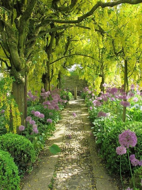 Gardening - Better Homes and Gardens Plantarea Legumelor, Trees And Flowers, Garden Walkway, Have Inspiration, Garden Pictures, Garden Pathway, Gorgeous Gardens, Alam Yang Indah, Garden Cottage