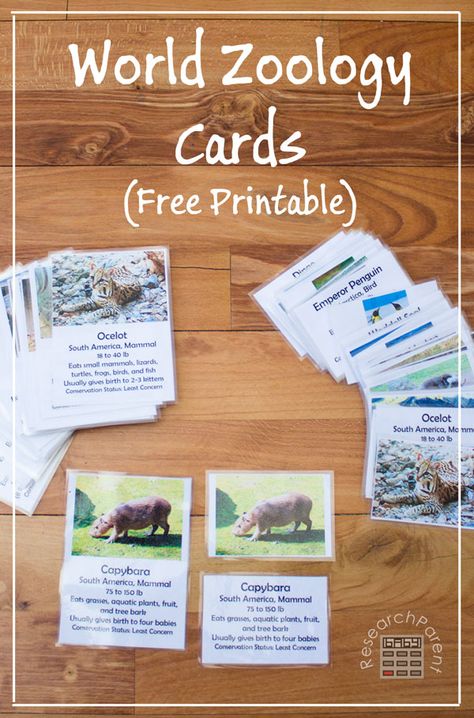 World Zoology Cards - ResearchParent.com Fun Facts About Animals, Animal Science, World Geography, Homeschool Printables, Animal Activities, Free Homeschool, Endangered Animals, Homeschool Science, Animal Facts