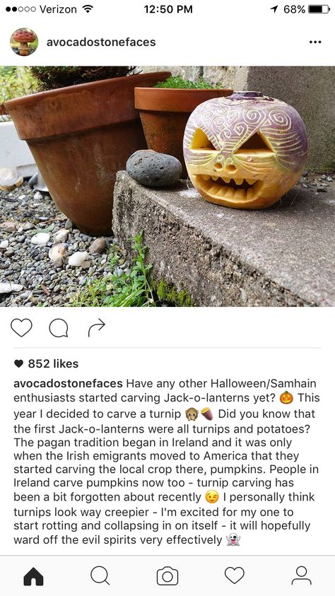 @avocadostonefaces. Carve a turnip! Carved Turnip Halloween, Turnip Carving, Carved Turnips, Turnip Lantern, Sam Hain, Samhain Ideas, Making Pumpkins, Smile Poster, Spirit Fingers