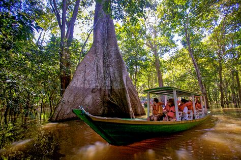 Journey To The River Sea, Vbs Jungle, Manaus Brazil, Jungle Images, Brazil People, Brazil Amazon, Travel Brazil, America Fashion, Travel America