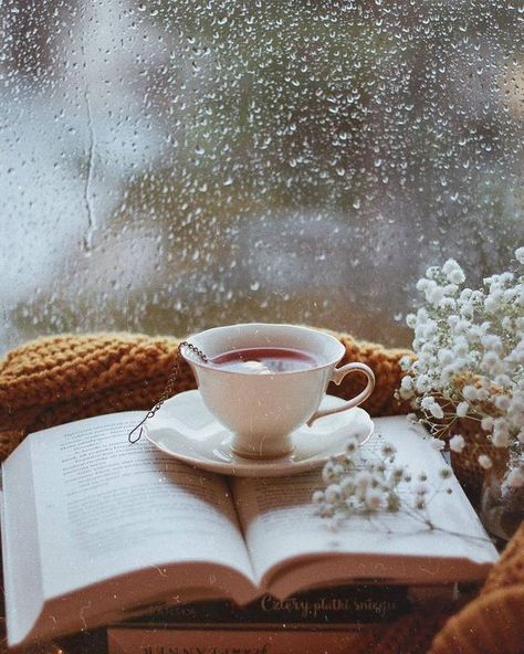 Staying in on a rainy day...enjoying a little busy solitude....reading, listening to music...looking at old photos...reading old journals...you get the idea!!!! An Open Book, Tea And Books, On A Rainy Day, A Cup Of Tea, Coffee And Books, A Cup Of Coffee, Open Book, A Rainy Day, Foto Inspiration