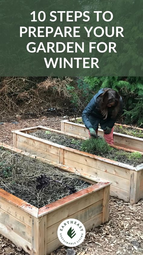 Prepping your garden for winter can make springtime gardening so much easier. From strategically pruning to supporting your soil, our 10-step guide covers everything you need to keep your garden healthy through the colder months. Start early and your spring garden will thank you! Prepping Garden For Winter, Winter Garden Ideas, January Garden, Garden Prep, Prep Checklist, Garden Prepping, Winter Gardening, Homesteading Skills, Healthy Garden