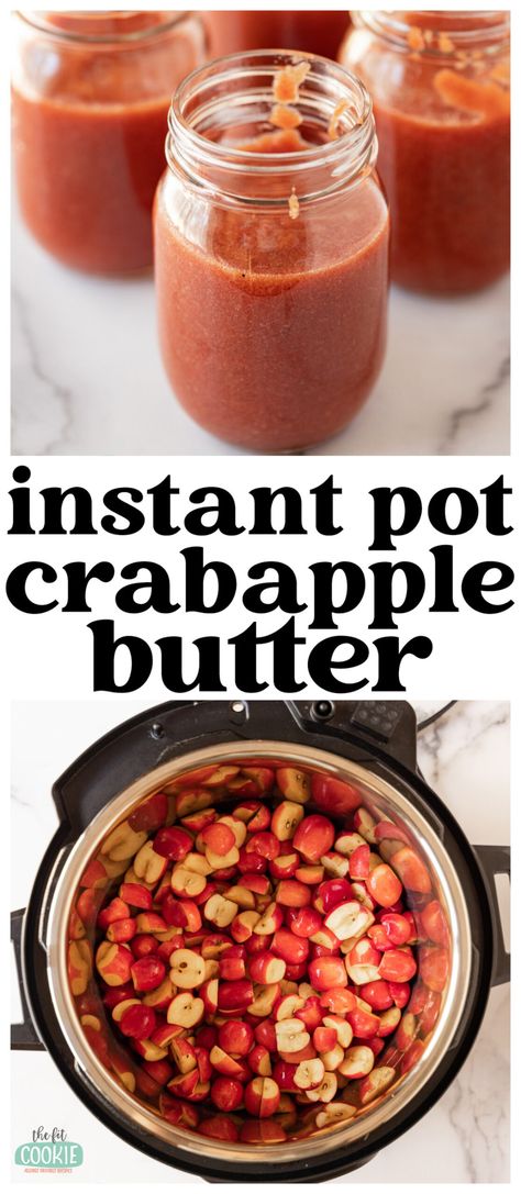 Crabapple Recipes Instant Pot, Crab Apple Sauce Slow Cooker, Crab Apple Desserts, Crab Apple Butter Crock Pot, Crab Apple Apple Butter, Crabapple Recipes Pies, Recipes For Crab Apples, Crab Apple Apple Sauce, Crab Apple Canning Recipes