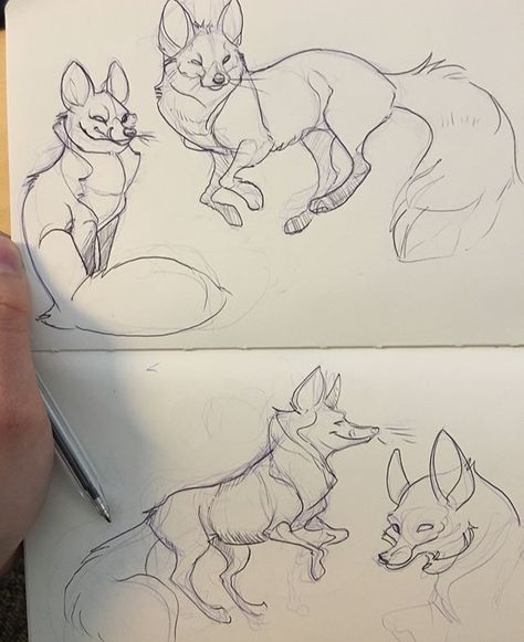 @jnievesdelgado Sc:joycenieves Insta: joyce_nieves Ideas For Drawing, Realistic Sketch, Fox Drawing, Fox Art, Animal Sketches, Creature Design, Creature Art, Art Reference Poses, Cool Drawings