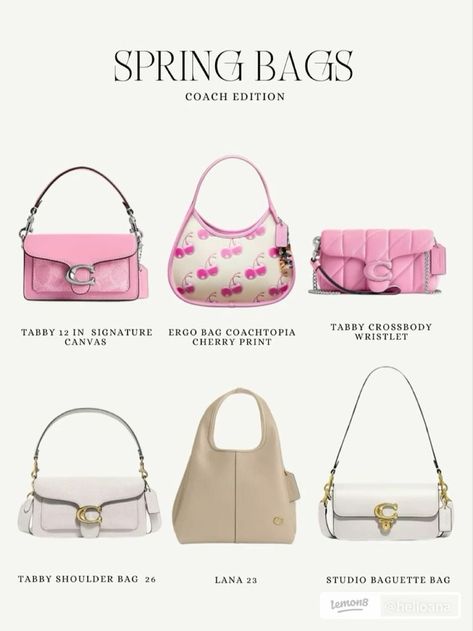 Fancy Bags Purses, Mini Designer Bags, 2024 Clothes, My Style Bags, Luxury Bags Collection, Spring Bags, Girly Bags, Luxury Purses, Fancy Bags