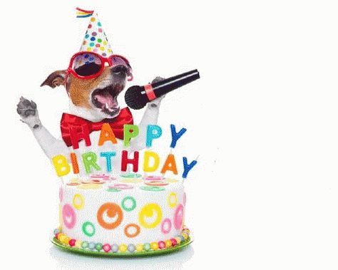 Happy Birthday Dogs GIF - HappyBirthday Dogs - Discover & Share GIFs Happy Birthday Dog Gif, Happy Birthday Chihuahua, Happy Birthday Funny Dog, Happy Birthday Singer, Dog Singing, Funny Happy Birthday Gif, Birthday Animated Gif, Animated Happy Birthday Wishes, Birthday Wishes Gif