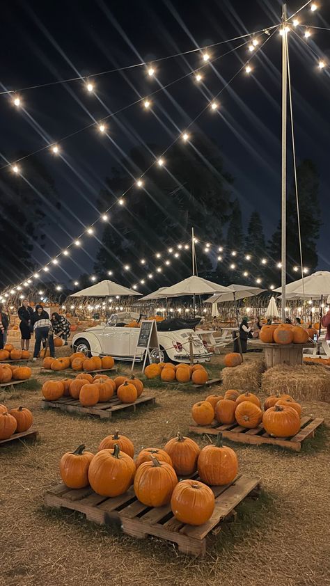 Halloween Vision Board, Fall Pumpkin Patch Aesthetic, Halloween Neighborhood Aesthetic, Fall Hayride, Autumn Aesthetic Pumpkin, Pumpkin Farm Aesthetic, Autumn Aesthetic Pumpkin Patches, Facts About Halloween, Aesthetic Pumpkin