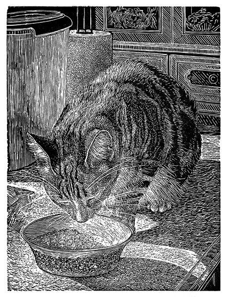 Woodcut Art, Scratchboard Art, Cat Art Illustration, Woodcuts Prints, Wood Engraving, Cats Illustration, The Society, Linocut Prints, Ink Art