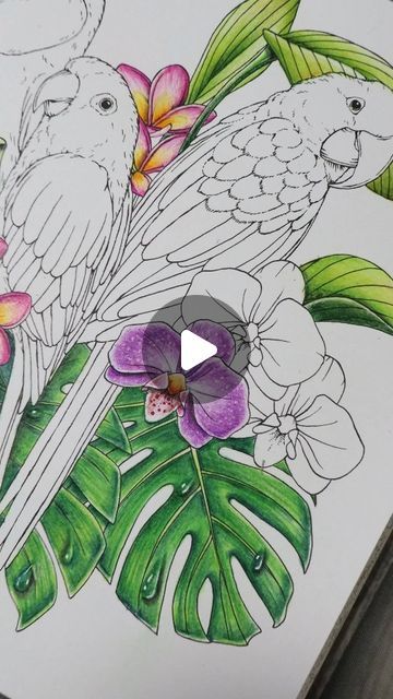 Art | Coloring & Drawing by Rosario on Instagram: "Work in progress🖍🎨✨ Discover with me the magic of ‘Symphony of Cute Animals’ by Kanoko Egusa. ✏️ Grab your Prismacolor (or whatever pencils you have!) and let’s color together this adventure. 🌈 Don’t miss my next post for my unique take on this enchanting illustration! 💖 And if you’re looking for inspiration, soon on my YouTube channel you’ll find a coloring tutorial. Stay tuned and comment with your favorite pencils!!!
.
.
.
If you enjoyed it, give it a "Like" and share this video with other coloring enthusiasts ready to explore their creative side and also feel free to leave a comment✨️👇🏻🌟🫶🏻💬
.
.
.
📚 Symphony of Cute Animals @kanokoegusa
🖍 @Prismacolor 
.
.
#coloringbook #coloringbooks
#coloringbookforadults #zencoloring #won Symphony Of Cute Animals, Kanoko Egusa, Symphony Of Cute Animals Kanoko Egusa, Kanoko Egusa Coloring Pages Finished, Atlantis Hanna Karlzon, Zen Colors, Coloring Tutorial, Work In Progress, Colorful Drawings