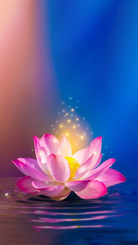 Pink Lotus Wallpaper, Lotus Flower Wallpaper, Lotus Wallpaper, Lotus Flower Pictures, Lotus Flower Art, Floral Cards Design, Lotus Art, Iphone Wallpaper Hipster, Android Wallpaper Flowers