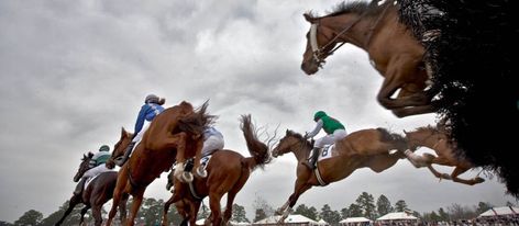 Camden South Carolina, Carolina Cup, Walkable City, Green Space, Open Air, South Carolina, Small Towns, Tourism, The Neighbourhood