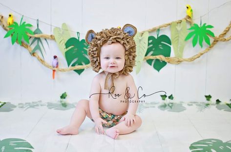 Lion Cake Smash, Lion Cake, Jungle Lion, Elephant Wallpaper, Jungle Birthday, Birthday Cake Smash, Boy Birthday Cake, Smash Cake, Birthday Photoshoot