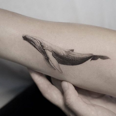 Micro-realistic whale tattoo on the inner forearm. Whale Tail Tattoo, Humpback Whale Tattoo, Tattoo Whale, Whale Shark Tattoo, Hai Tattoo, Ocean Sleeve Tattoos, Marine Tattoo, 16 Tattoo, Whale Tattoo