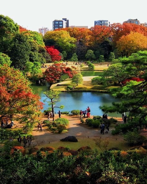 Photo by @japantravelplanet | Are you planning to visit Tokyo this year? Autumn is one of the best times to visit Japan. This photo was taken at Rikugien Gardens in Tokyo. Rikugien is one of the locations we featured in our blog post, "Most Beautiful Places To See The Autumn Leaves In Tokyo”. Click on the link in our profile to read our blog. Hope you find it interesting! 🍂🍁 . . . . . #gardens #tokyo #japanlife #日本#japantrip #japanesestyle #Japan🇯🇵#insta_japan #photo_jpn #iloveja.. Rikugien Garden, Adachi Museum Of Art, Tokyo City View, Japanese Gardens Design Ideas, Kyoto Itinerary, Kamakura Japan, Tokyo Japan Travel, Japan Vacation, Japanese Garden Design