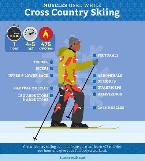 Cross Country Skiing Workout, Cross Country Skiing Outfit, Skiing Memes, Skiing Photography, Skiing Workout, Skiing Training, Xc Ski, Gluteal Muscles, Nordic Skiing