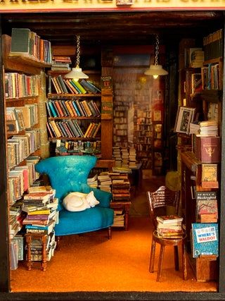 Bookshelf Mini Worlds, Bookstore Miniature, Miniature Booknook, Miniature Bookstore, Tiny Bookstore, Booknook Ideas, Mini Bookstore, Paris Bookstore, Miniature Bookshelf