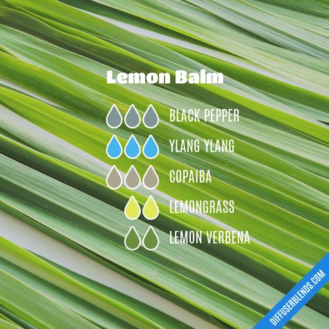 Lemon Balm | DiffuserBlends.com Lemon Verbena Essential Oil, Reed Diffuser Sticks, Liquid Castile Soap, Diffuser Sticks, Roman Chamomile, Castile Soap, Lemon Verbena, Glycerin Soap, Lemon Balm