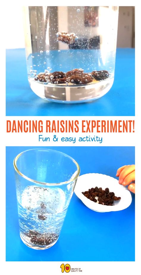 Dancing Raisins Experiment- Fun & easy activity Dancing Raisins Science Experiment, Dancing Raisins Experiment, Early Years Science, Dancing Raisins, How To Make Raisins, Summer School Crafts, Water Science Experiments, Discovery Zone, Therapeutic Recreation