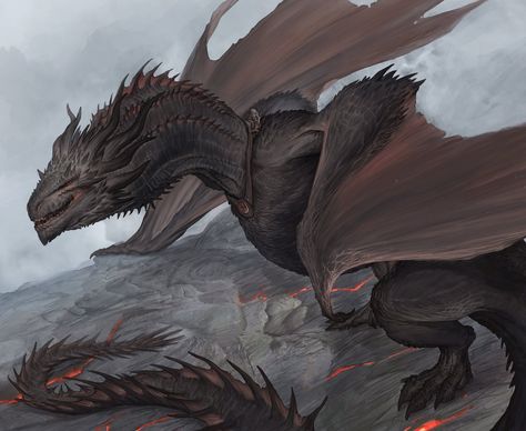 QuartzDraws (@Quartz_draws) on X Balerion The Black Dread, Black Dreads, Got Dragons, Dragon Tales, Targaryen Art, Lotr Art, Dragon Sketch, Asoiaf Art, Cool Dragons