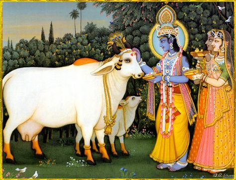 Gopala Krishna with a cow, calf and gopis Cow Pictures, Pichwai Paintings, Indian Painting, Vedic Art, Jai Shree Krishna, Krishna Radha Painting, Krishna Painting, Cow Art, Krishna Pictures