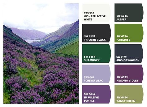 Scottish Highlands Color Palette Scottish Wedding Colour Schemes, Scotland Colour Palette, Scottish Colour Palette, Heather Colour Palette, Scotland Color Palette, Color Palettes Blue, Green And Purple Aesthetic, Stitch Palette, Bathroom Ideas Color