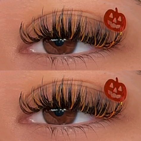 Hello October 👻🍂✨ I loooooove Halloween season sooo much. I can’t wait to see what we create together 🪄 Using @elan.beaute Jack O Lantern tray + halloween lash decals 🦇 + @kiaraskylash cashmere trays in .03D • use code ally10 🕸️ — inspo from @ilashbykiley 🎃🧡 #lashes #lashextensions #colorlashes #colorlashextensions #halloweenlashes #lashstylist #lashdesigner #classiclashes #lashdecals #elanbeaute #ugc #lashgram #lashinspo #halloweenfun #halloweenbeauty #lashbeauty #323lashes #allyxlas... Wet Eyelash Extensions, Lash Decals, Halloween Lashes, Halloween Beauty, Hello October, Lashes Beauty, Halloween Season, Jack O, Halloween Art