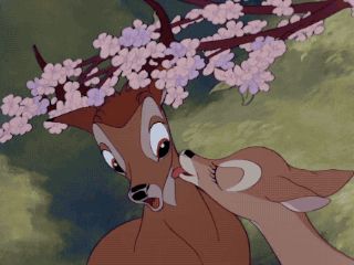 Bambi And Feline, Bambi Film, Bambi 1, Disney Kiss, Bambi Disney, Walt Disney Characters, Disney Pixar Movies, Disney Collage, Disney Gif