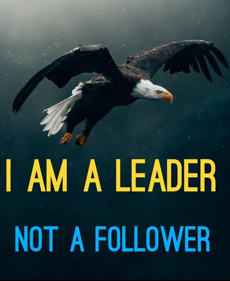 #leadership #leader #thoughtleadership #leadershipquotes I Am A Leader Not A Follower, Be A Leader Not A Follower Quotes, What Makes A Good Leader, I Am Not Bossy I Have Leadership Skills, Eagle Quotes, I Am A Leader, Being A Great Leader Quote, Qualities Of A Leader, Military Leadership Quotes