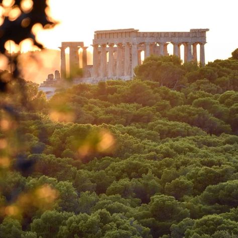 Ostrvo Egina’s Instagram profile post: “. . . . . #afaia #temple #greece🇬🇷 #aeginaisland #agiamarina #doric #egina #greece🇬🇷 #aeginaisland #agiamarina #summer #seaside #aegina…” Egina Greece, Greece Sea, Greece, Temple, Instagram Profile, Quick Saves, Instagram