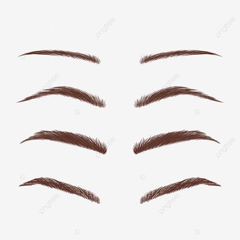 Cejas Aesthetic, Brown Eyebrows, Image Generator, Wordpress Theme, Png Images, Eyebrows, Wordpress, Free Download, For Free