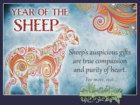 Chinese Zodiac Sheep & Year of the Sheep 1280x960 Learn Numerology, Dog Chinese Zodiac, Dog Zodiac, Chinese Numerology, Year Of The Sheep, Zodiac Years, Year Of The Dog, Sign Meaning, Zodiac Calendar