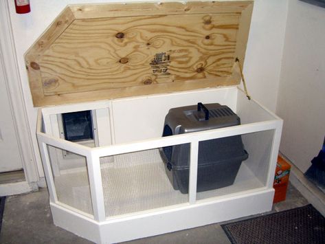 Litter Box In Garage Ideas, Cat Box In Garage, Cat Litter Box In Garage, Cat Room In Garage, Litter Box Garage, Outside Litter Box Ideas, Mud Room Cat Litter Box Ideas, Cat Patio, Kitty Litter