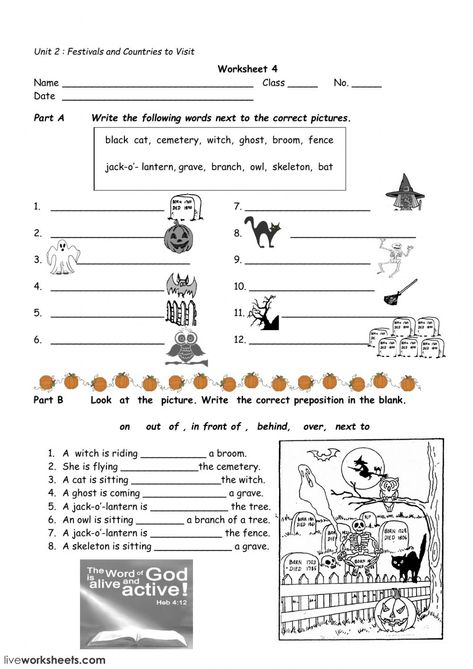 Halloween Worksheet, Halloween Quiz, Halloween Teaching, Halloween Vocabulary, Halloween Worksheets, The Worksheet, Halloween Traditions, English Worksheets For Kids, Kids English