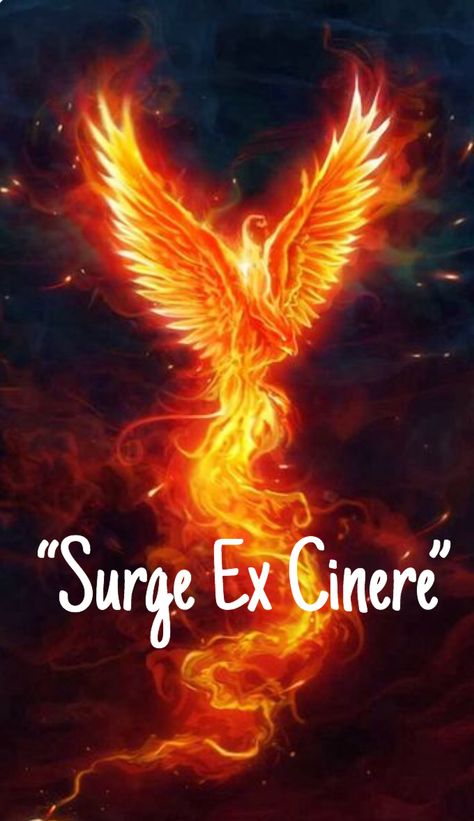 Latin for “ Rise from the Ashes” Like A Phoenix She Will Rise, I Will Rise Quotes Strength, Rise Of The Phoenix Quotes, Fenix Quote, Phoenix Rising Quotes, Phoenix Quotes Rising, Phoenix Woman Rising, I Will Rise Quotes, Rise Like A Phoenix Quotes