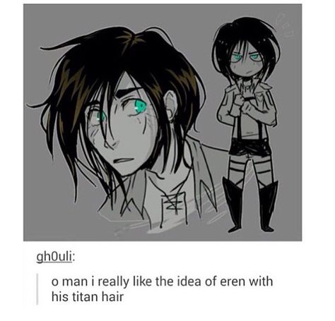 I love his Titan hair. Can we have this happen? Please? Long Hair Eren Jaeger, Aot Eren Titan Form, Eren Jaeger Titan Form, Aot Ymir, Eren Titan Form, Ymir Aot, Eren Titan, Aot Memes, Attack On Titan Comic