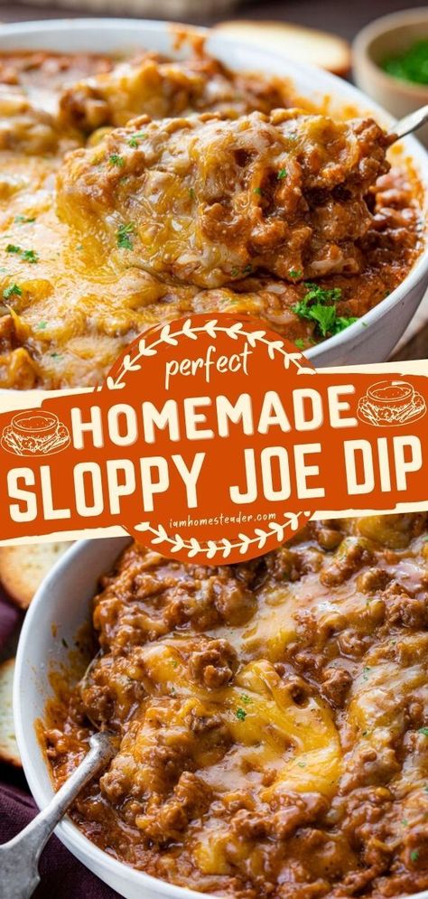 Sloppy Joe Dip, Sloppy Joes Dip, Cheesy Ground Beef, Best Dip, Beef Appetizers, Beef Dip, Homemade Sloppy Joes, Bagel Chips, Crowd Pleasing Appetizers