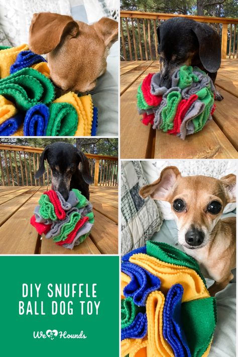 Snuffle Ball, Homemade Dog Toys, Brain Game, Diy Dog Toys, Dog Business, Dog Enrichment, Dog Games, Dog Brain, Dog Projects